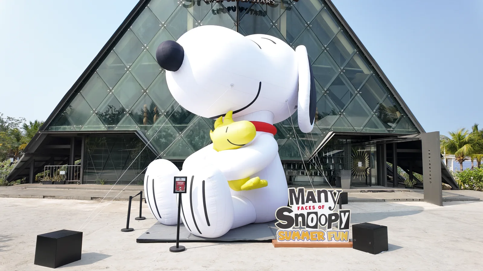 Many Faces of Snoopy